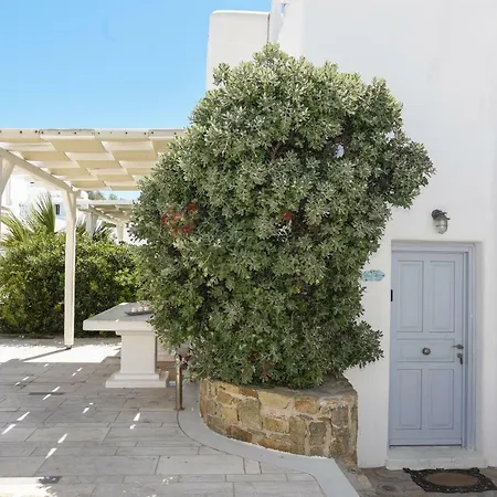 Blue Daisy House, Ornos, By Myconbay Mykonos * 奥诺斯